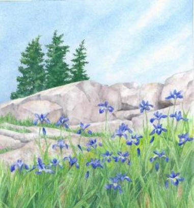 Sharon Selene Field Watercolors